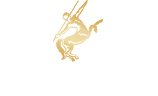 Rémy Martin